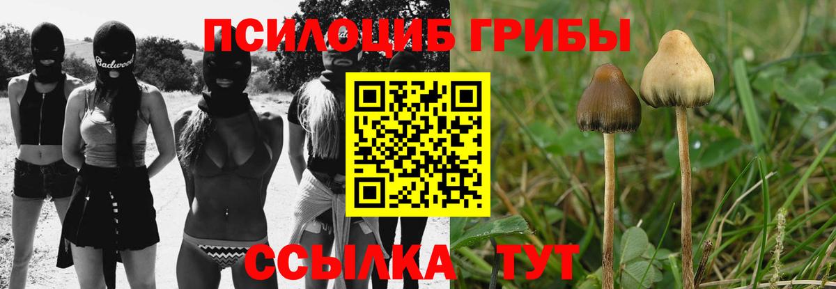 Галлюциногенные грибы мицелий Тимашёвск